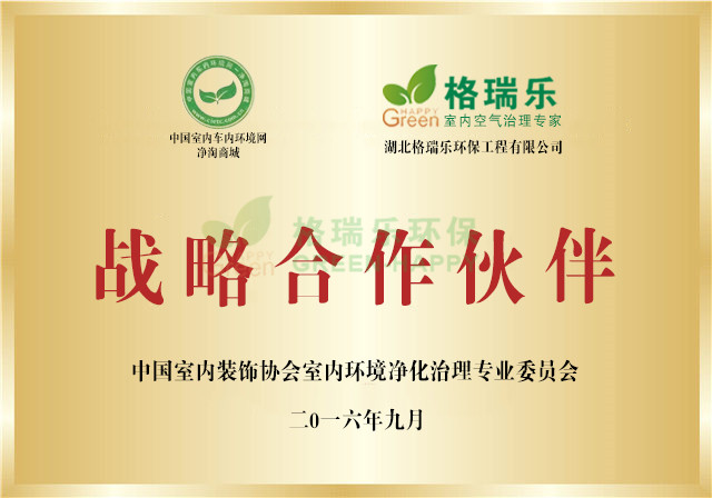 战略合作伙伴