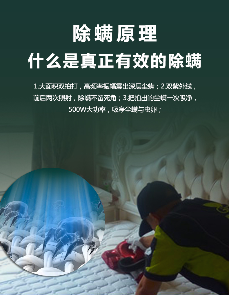武汉专业除螨,有效除螨,净满意除螨虫,真正除螨