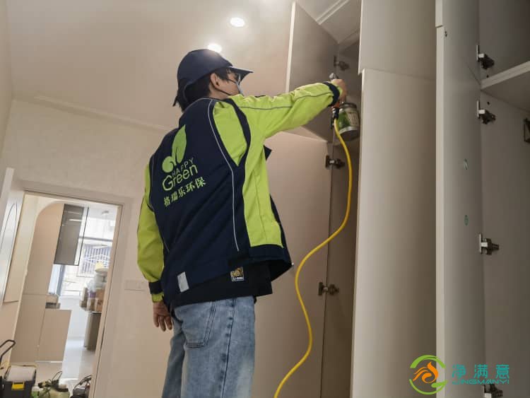 武汉专业除甲醛公司