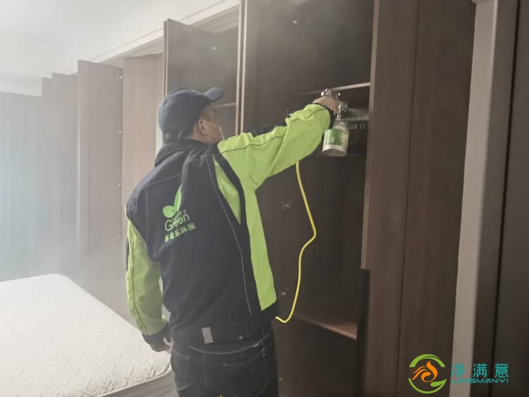 武汉专业除甲醛公司