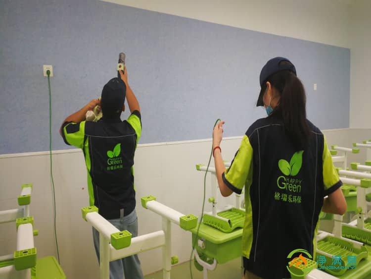 武汉专业除甲醛公司